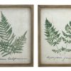 Set Of 2 Fern Canvas Pictures Plant Home Garden Dector Flower Wooden Frame